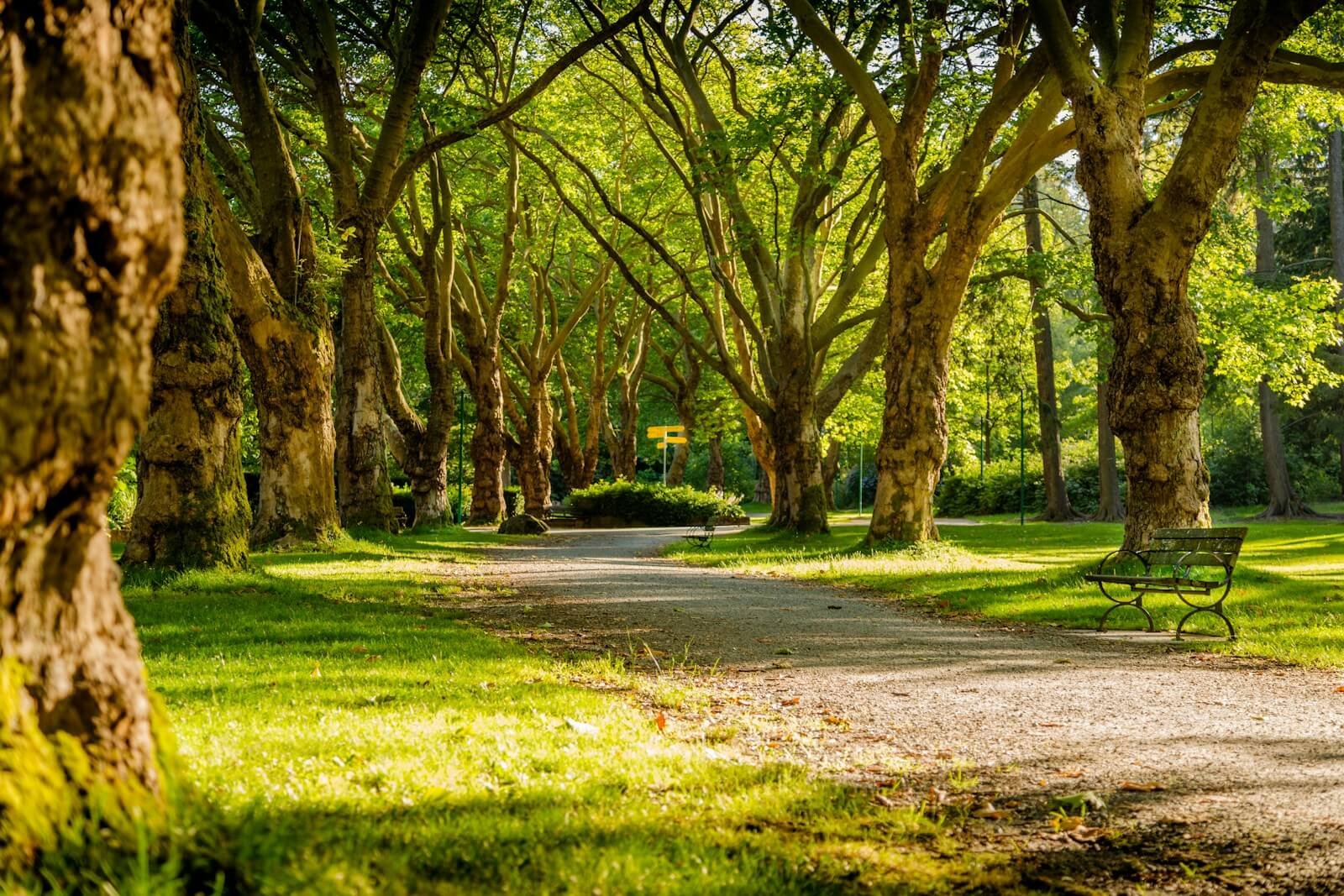 photo of empty park during daytime